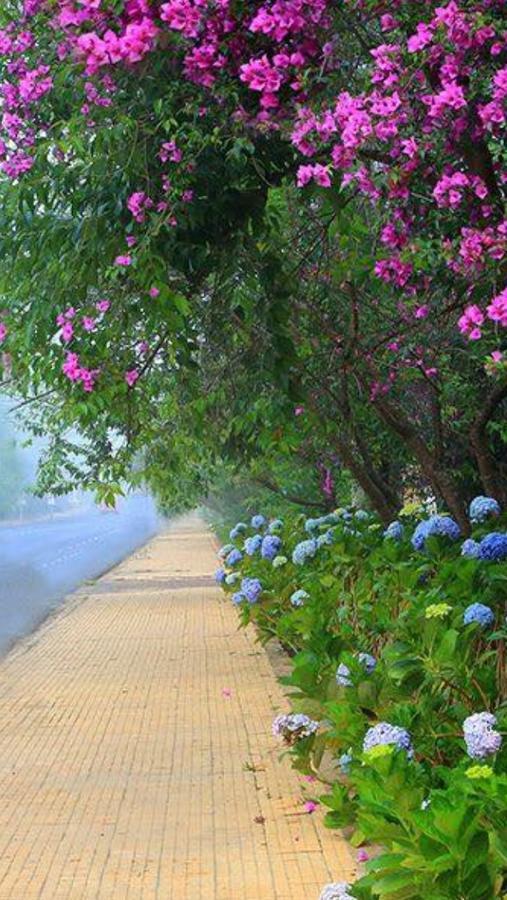 Hostel Phuong Nga Da Lat Buitenkant foto